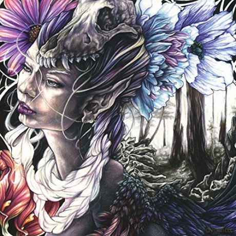 Arctic Sleep: Passage Of Gaia [CD]