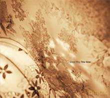 Silent Way: This time [CD]