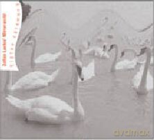 Zoltan Lantos' Mirrorworld: Tiptoe ceremony [CD]