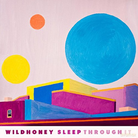 Wildhoney: Sleep Through It [Winyl]