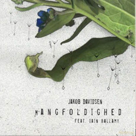 Jakob Davidsen: Mangfoldighed [CD]