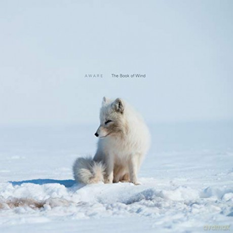 Aware: The Book Of Wind [CD]