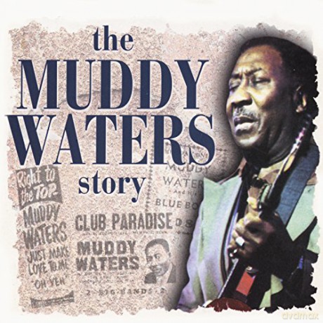 Muddy Waters: The Muddy Waters Story [4CD]