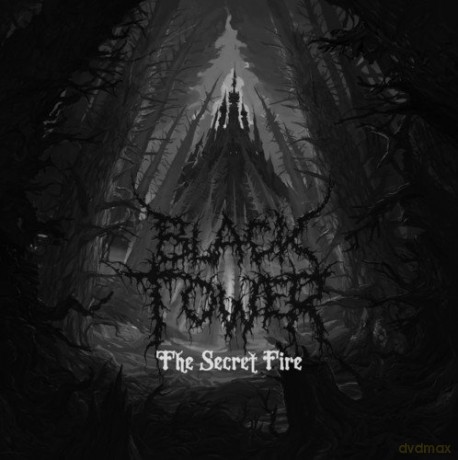 Black Tower: The Secret Fire [Winyl]