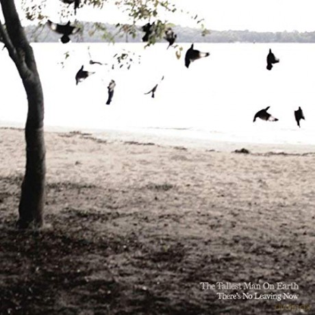 Tallest Man On Earth: ThereS No Leaving Now [CD]