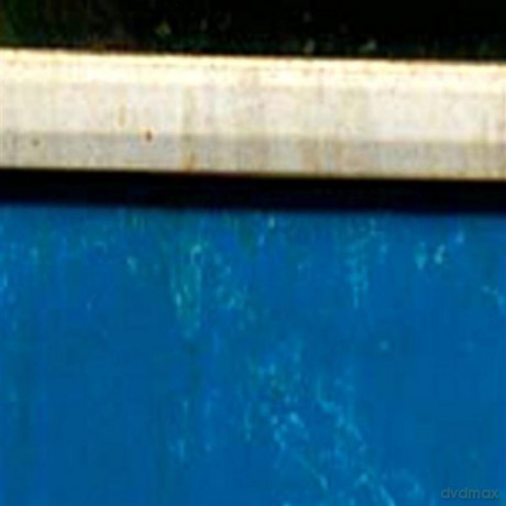 Strange Party Orchestra: Statement [CD]