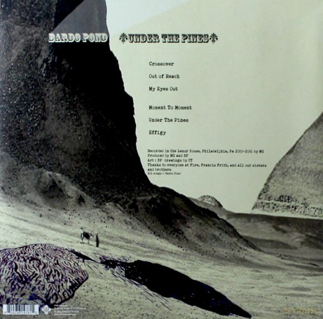 Bardo Pond: Under The Pines [Winyl]