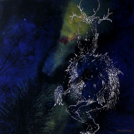 Bardo Pond: Under The Pines [Winyl]