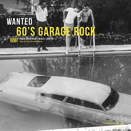 Wanted 60s Garage Rock [Winyl]