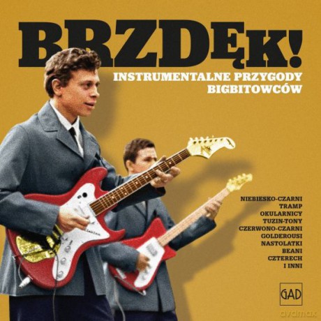 Brzdęk! Instrumentalne Przygod [CD]