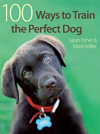 100 Ways To Train A Perfect Dog - Sarah Fisher [KSIĄŻKA]