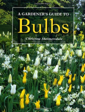 A Gardener's Guide to Bulbs - Christine Skelmersdale [KSIĄŻKA]
