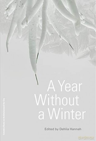 A Year Without a Winter - Dehlia Hannah [KSIĄŻKA]