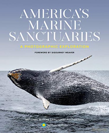 American Seas: Exploring the National Marine Sanctuaries: A Photographic Exploration - National Marine Sanctuary Foundation [KSIĄŻKA]