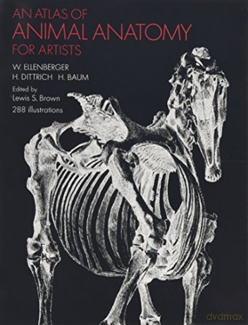 An Atlas of Animal Anatomy for Artists (Dover Anatomy for Artists) - W. Ellenberger [KSIĄŻKA]