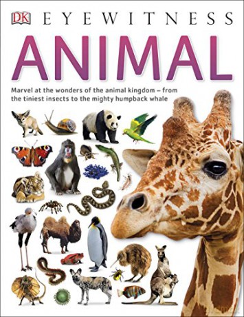 Animal (DK Eyewitness) [KSIĄŻKA]