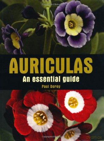 Auriculas: An Essential Guide (Crowood Essential Guides) - Paul Dorey [KSIĄŻKA]