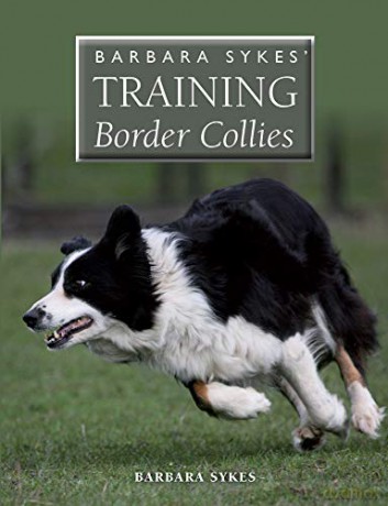 Barbara Sykes' Training Border Collies - Barbara Sykes [KSIĄŻKA]