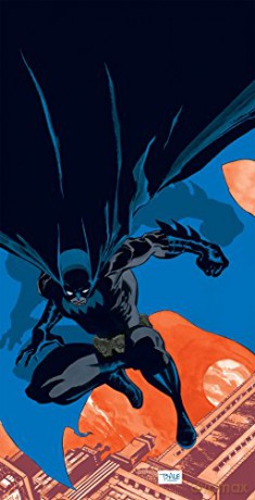 Batman: Haunted Knight - Jeph Loeb [KOMIKS]