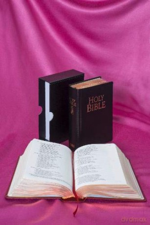 Bible: New Jerusalem Bible (Bible Njb) - Henry Wansbrough [KSIĄŻKA]