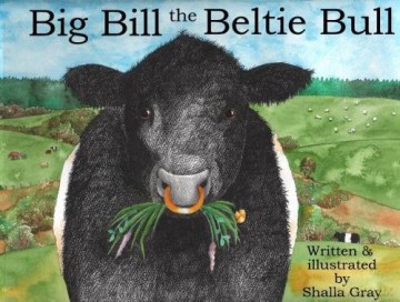 Big Bill the Beltie Bull - Shalla Gray [KSIĄŻKA]