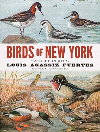 Birds of New York: Over 100 Plates - Louis Agassiz Fuertes [KSIĄŻKA]
