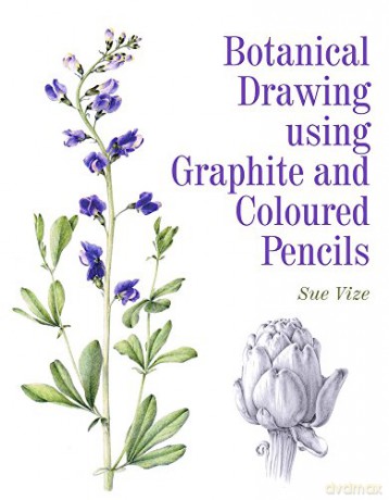 Botanical Drawing using Graphite and Coloured Pencils - Sue Vize [KSIĄŻKA]