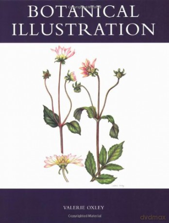 Botanical Illustration - Valerie Oxley [KSIĄŻKA]