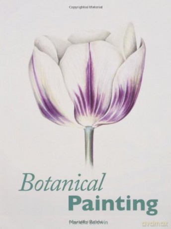 Botanical Painting - Mariella Baldwin [KSIĄŻKA]