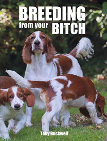 Breeding from your Bitch - Tony Buckwell BVet Med DLAS MRCVS [KSIĄŻKA]