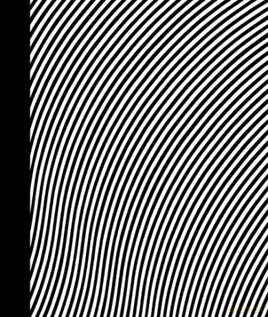 Bridget Riley: Paintings 1963-2015 - Robert Kudielka [KSIĄŻKA]