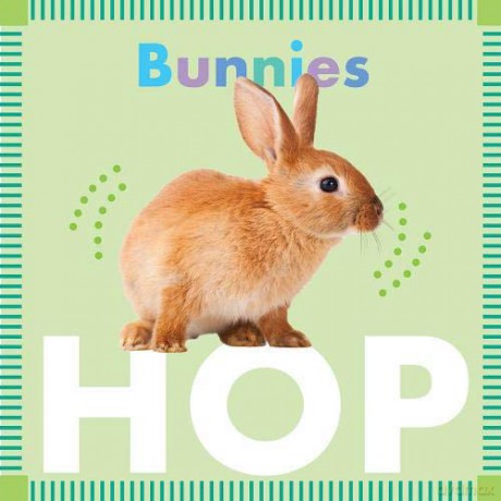 Bunnies Hop (Amicus Ink Board Books) - Rebecca Glaser [KSIĄŻKA]