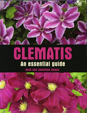 Clematis: an Essential Guide - Ruth Gooch [KSIĄŻKA]