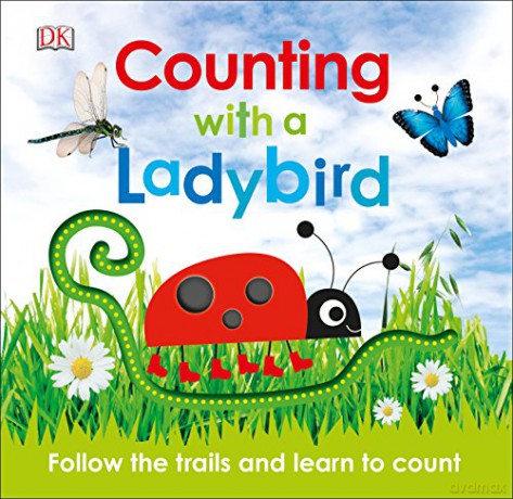 Counting with a Ladybird [KSIĄŻKA]