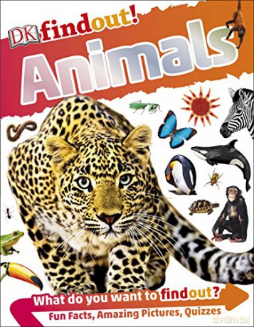 DKfindout! Animals [KSIĄŻKA]