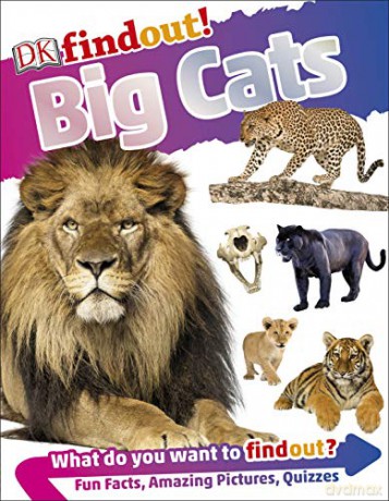 DKfindout! Big Cats [KSIĄŻKA]