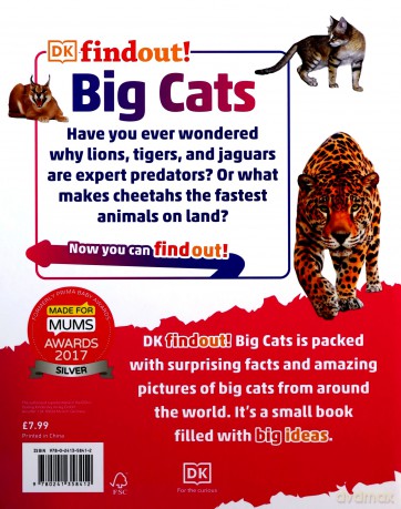 DKfindout! Big Cats [KSIĄŻKA]