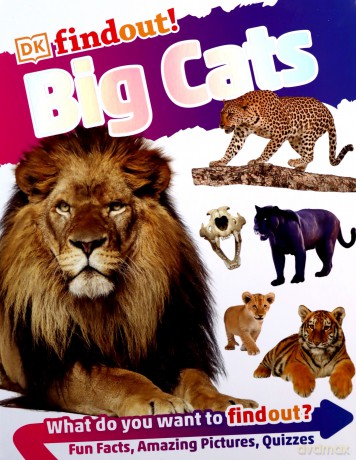 DKfindout! Big Cats [KSIĄŻKA]
