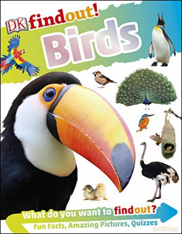 DKfindout! Birds [KSIĄŻKA]