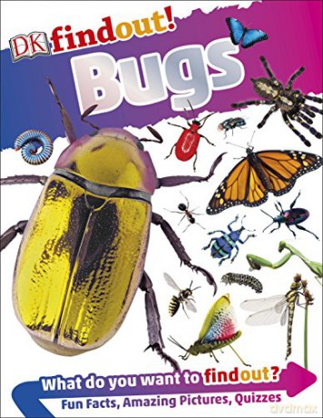 DKfindout! Bugs [KSIĄŻKA]