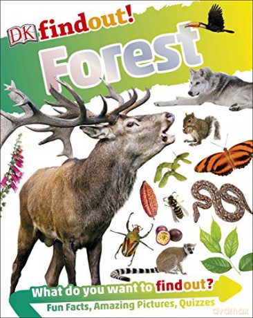 DKfindout! Forest [KSIĄŻKA]