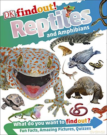 DKfindout! Reptiles and Amphibians [KSIĄŻKA]