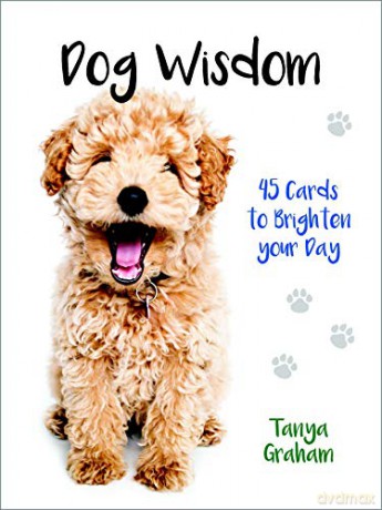 Dog Wisdom: 45 Cards to Brighten Your Day - Tanya Graham [KSIĄŻKA]