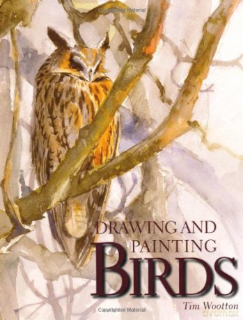 Drawing and Painting Birds - Tim Wootton [KSIĄŻKA]