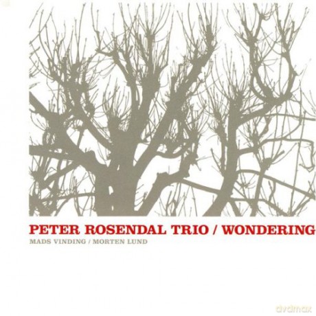 Peter Rosendal: Wondering [CD]