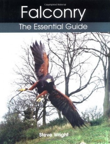 Falconry: The Essential Guide - Steve Wright [KSIĄŻKA]
