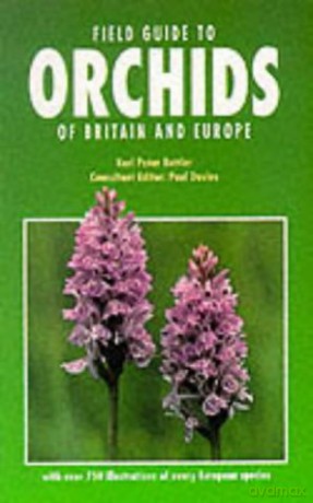 Field Guide to Orchids of Britain - Karl Peter Buttler [KSIĄŻKA]