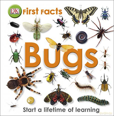 First Facts Bugs [KSIĄŻKA]