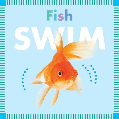 Fish Swim (Amicus Ink Board Books) - Rebecca Glaser [KSIĄŻKA]