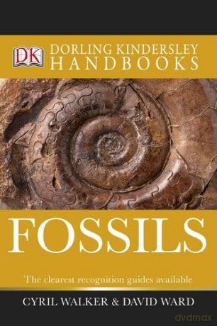 Fossils (DK Handbooks) - David Ward [KSIĄŻKA]